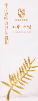 2019年度影响力MCN机构 淘美妆商友会