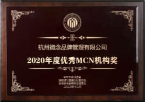 2020 短视频与直播电商年度颁奖盛典 2020 年度优秀MCN机构奖 中华文化促进会短视频与直播文化委员会