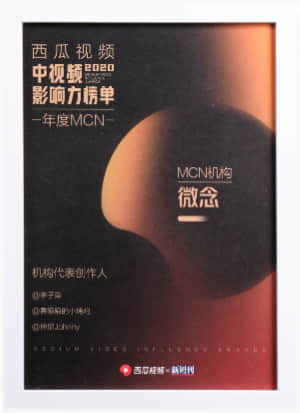 2020 影响力榜单 年度MCN机构 西瓜视频＆新周刊