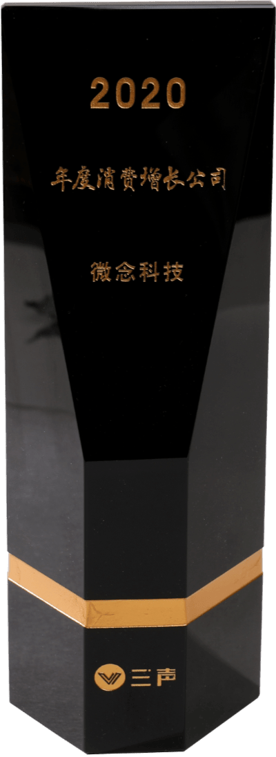 2020年度消费增长公司 三声