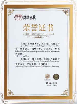 浙川东西部协作，杭甘对口支援 "塘塘合作，助力共富"荣誉证书 钱塘&理塘