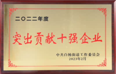 2022年度突出贡献十强企业 中共白杨街道工作委员会