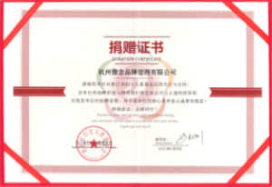 "家庭守护计划"公益项目 定向上海防疫项目荣誉证书 浙江省妇女儿童基金会