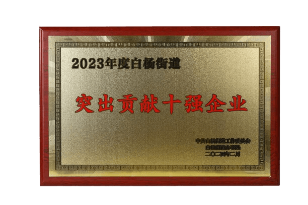 2023年度白杨街道突出贡献十强企业